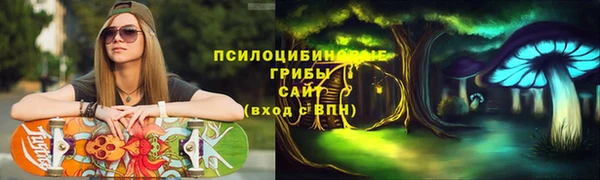 шишки Михайлов